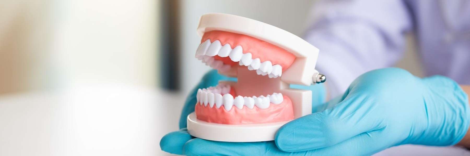 teeth illustration